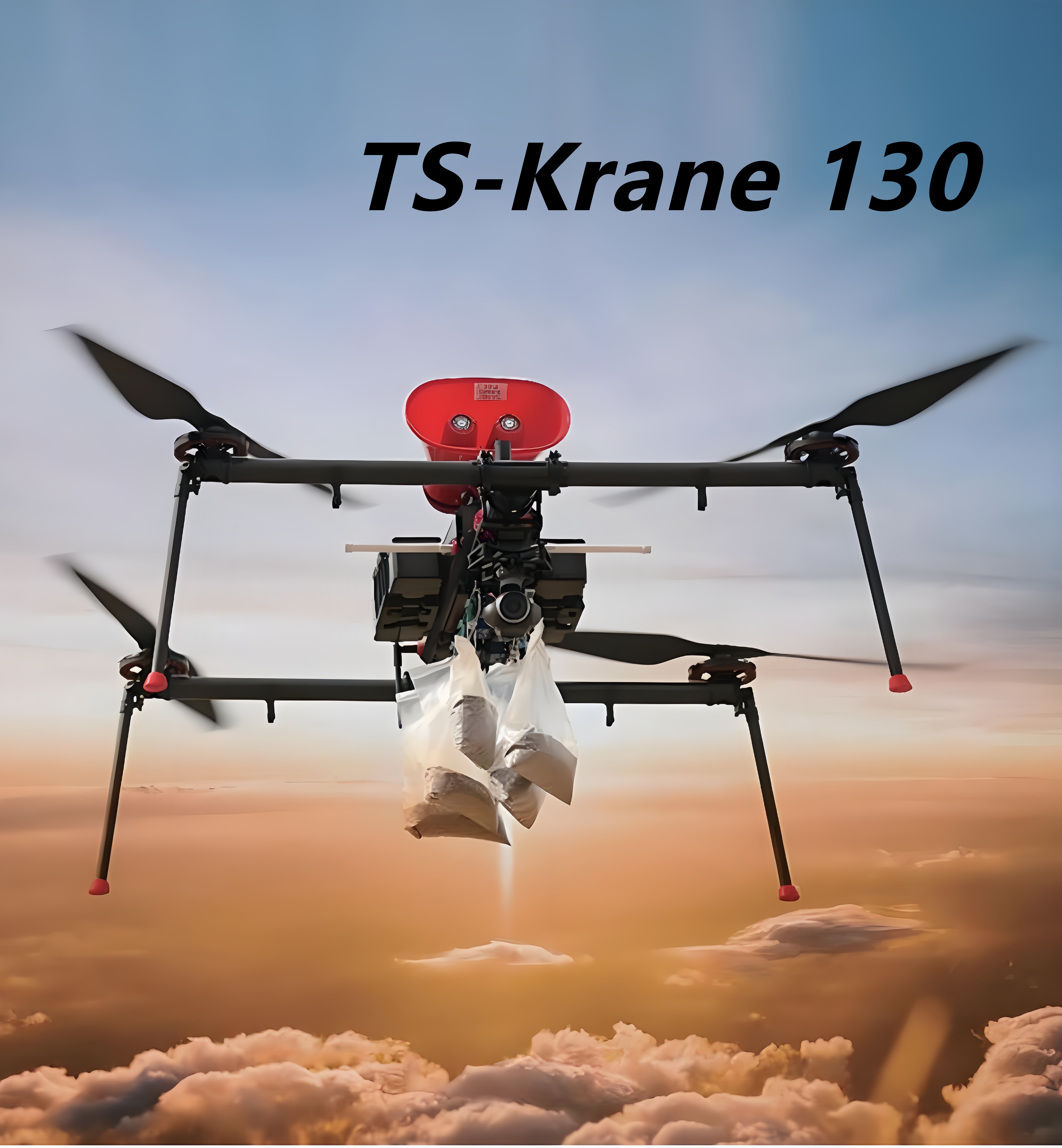 TS-Krane 130 